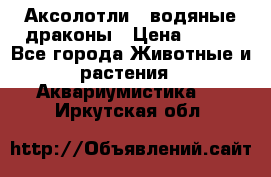 Аксолотли / водяные драконы › Цена ­ 500 - Все города Животные и растения » Аквариумистика   . Иркутская обл.